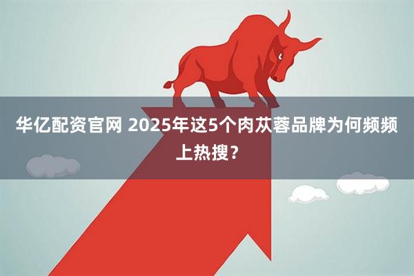 华亿配资官网 2025年这5个肉苁蓉品牌为何频频上热搜？